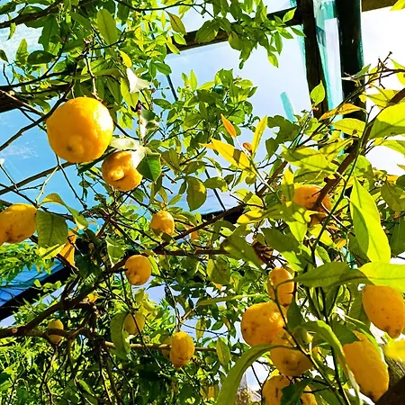 Casa Limoncella-garden, Private Parking&sorrento Coast